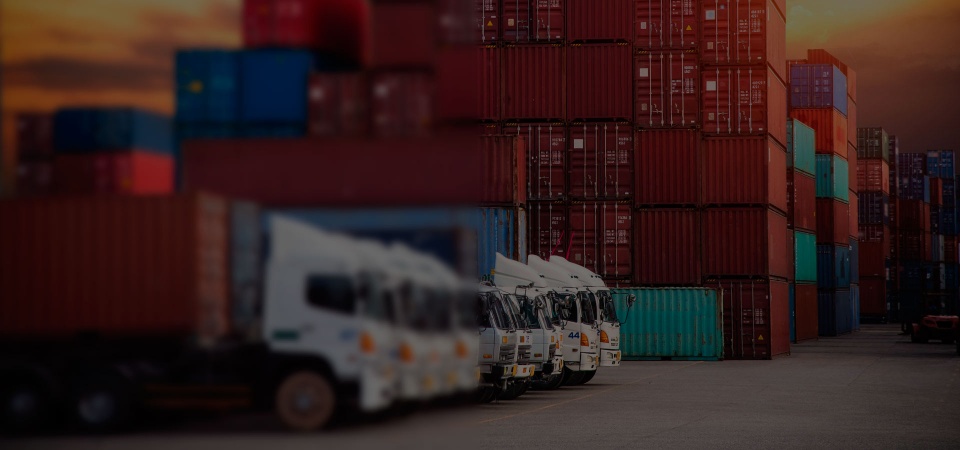 Warehouse services / Cross-docking